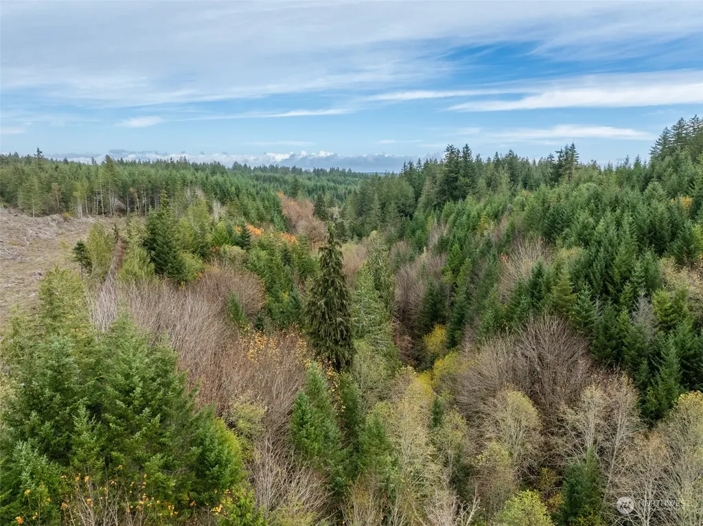 0 E Cottonwood Drive Shelton WA 98584