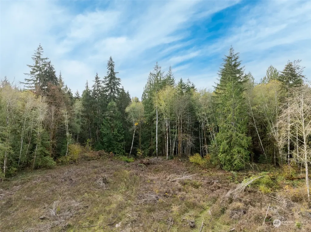 0 E Strong Road Shelton WA 98584