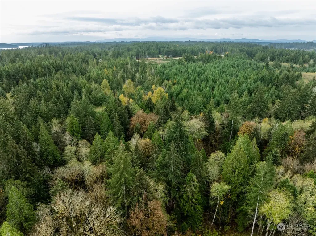 0 E Strong Road Shelton WA 98584