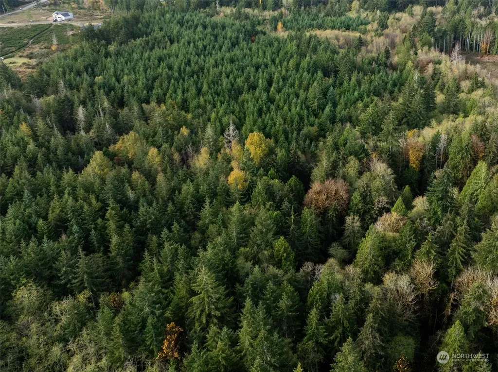 0 E Strong Road Shelton WA 98584