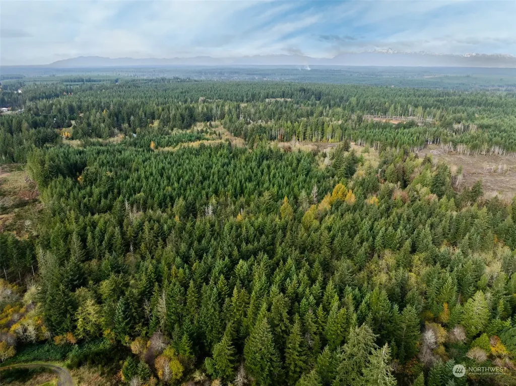 0 E Strong Road Shelton WA 98584