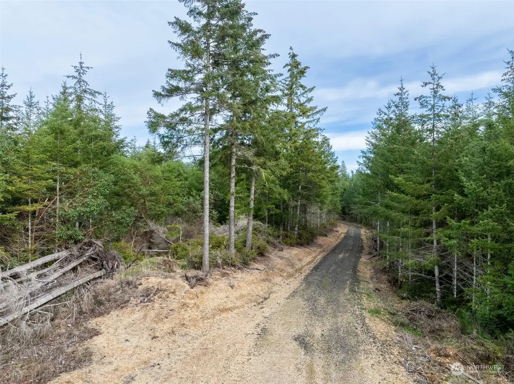 0 E Cottonwood Drive Shelton WA 98584