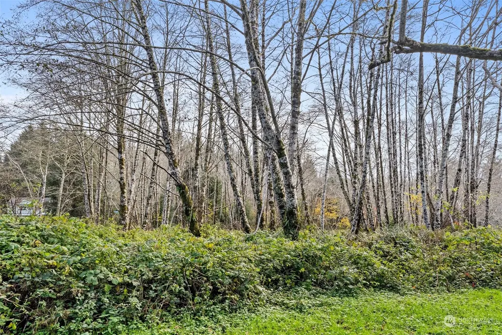 0 Wilson Lane South Bend WA 98586