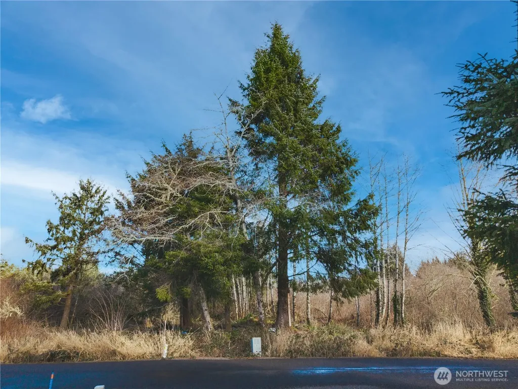 3507 102nd Street Long Beach WA 98640