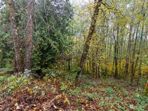 0 S 357th Street Federal Way WA 98003