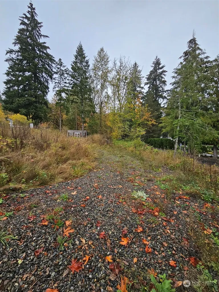 1281 State Route 505 Toledo WA 98591