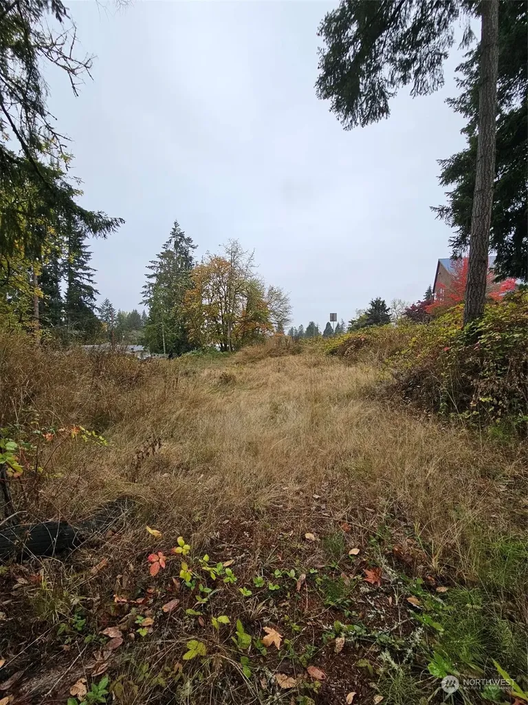 1281 State Route 505 Toledo WA 98591