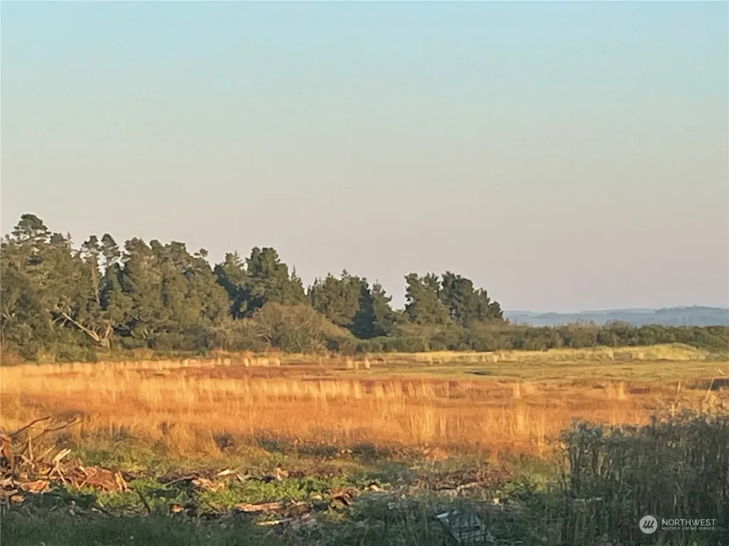 2680 Sunset Lane Tokeland WA 98590