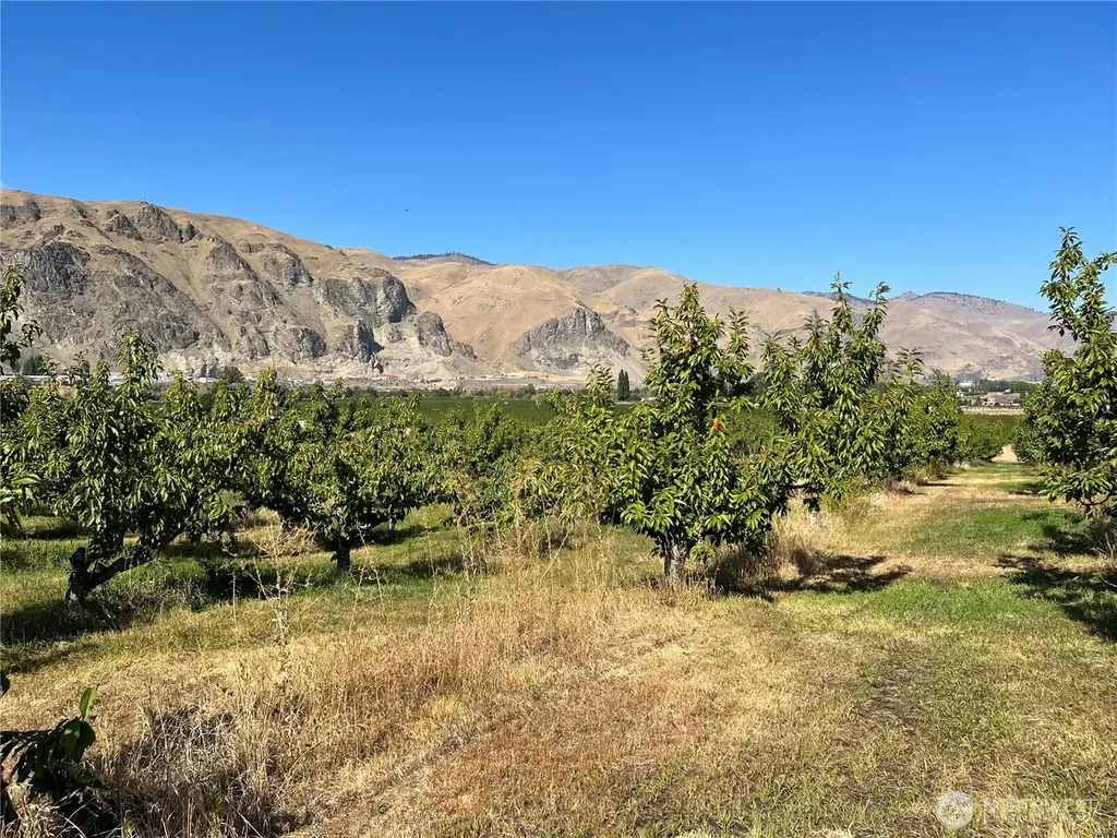 4477 NW Cascade Avenue East Wenatchee WA 98802