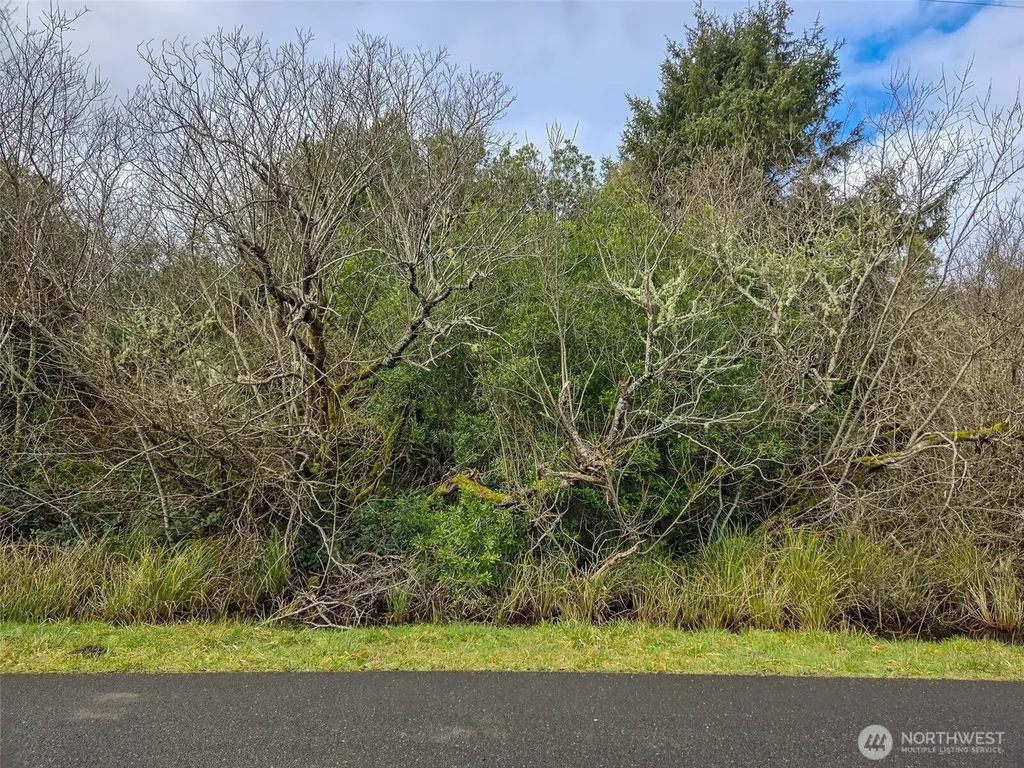 318 N Wynoochee Drive SW Ocean Shores WA 98569
