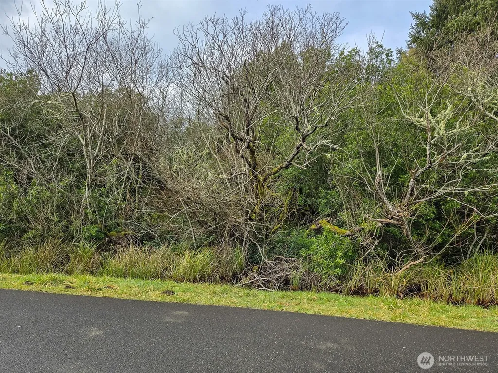 318 N Wynoochee Drive SW Ocean Shores WA 98569