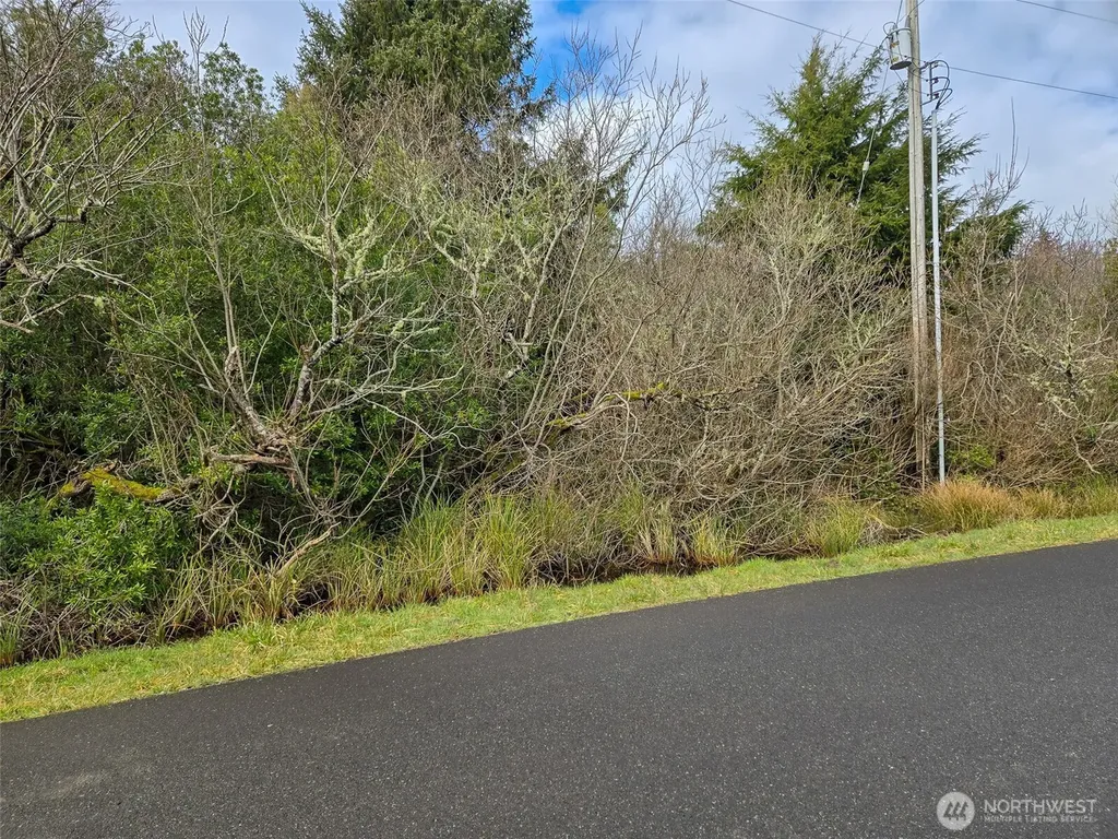 318 N Wynoochee Drive SW Ocean Shores WA 98569