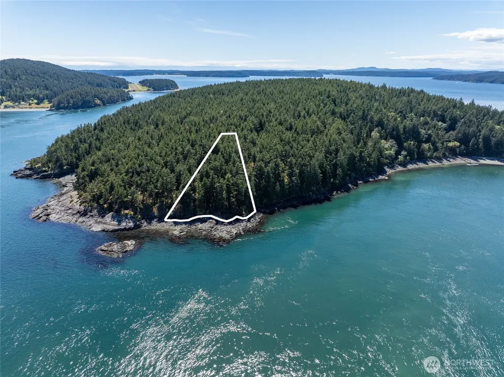 0 Peavine Way Obstruction Island WA 98279