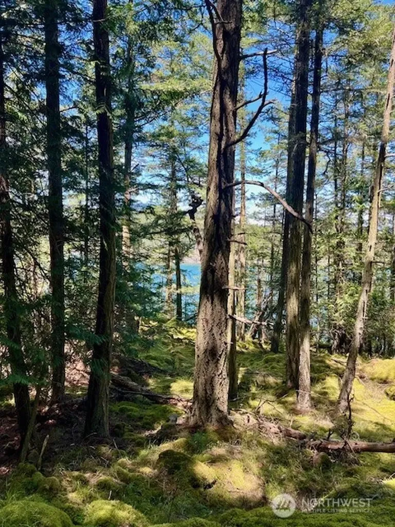 0 Peavine Way Obstruction Island WA 98279