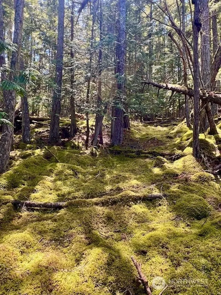 0 Peavine Way Obstruction Island WA 98279