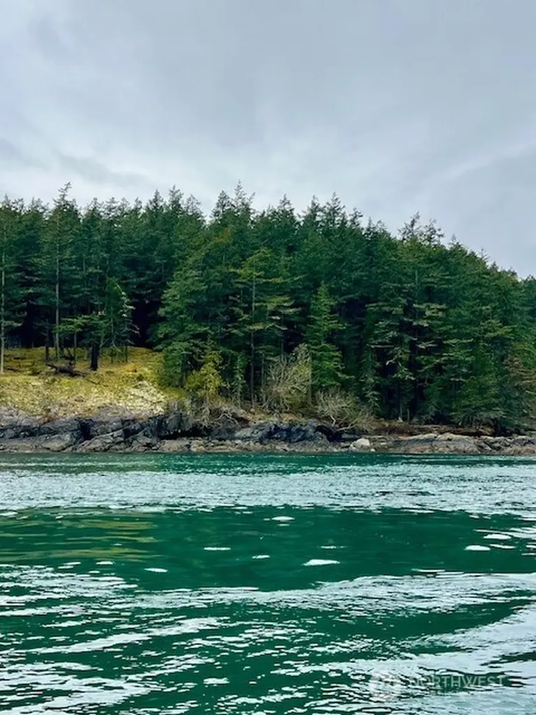 0 Peavine Way Obstruction Island WA 98279