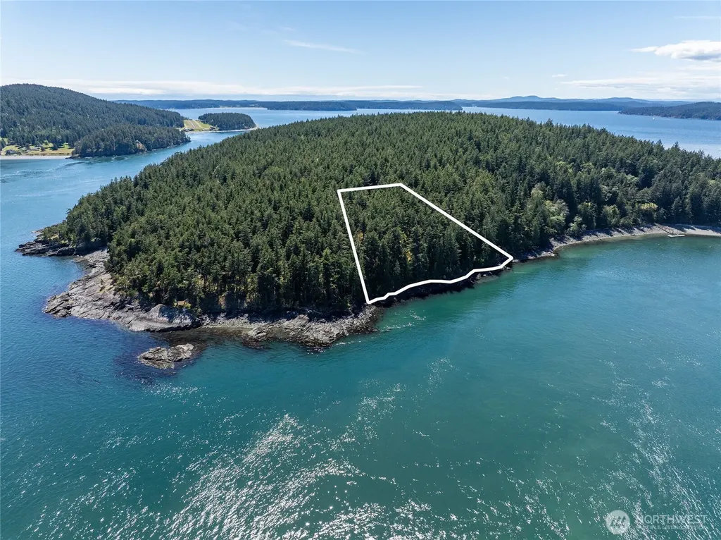 0 Peavine Way Obstruction Island WA 98279
