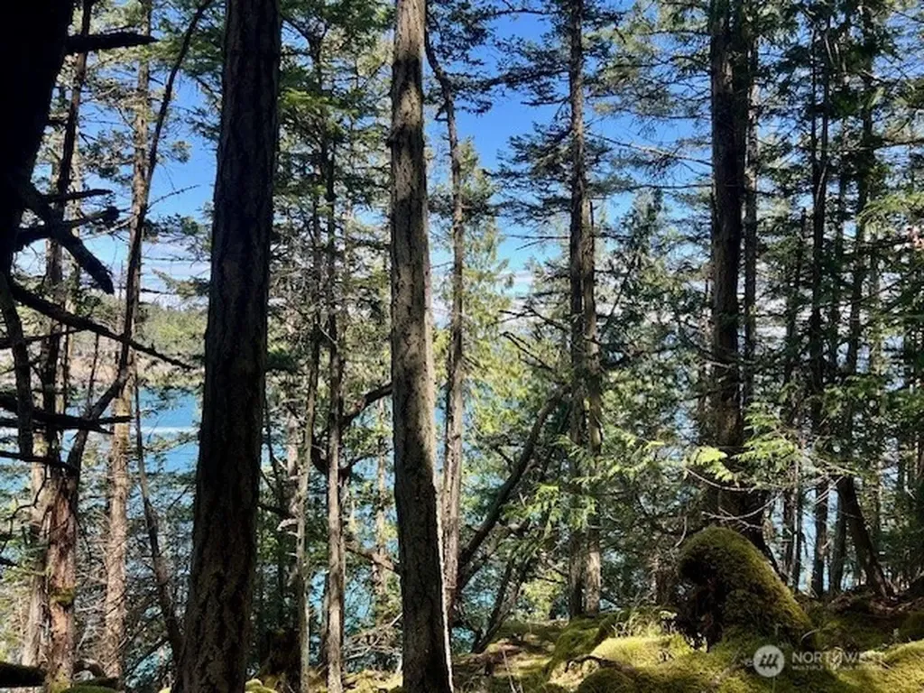 0 Peavine Way Obstruction Island WA 98279