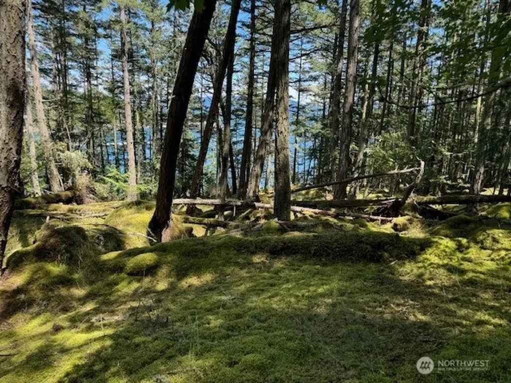 0 Peavine Way Obstruction Island WA 98279