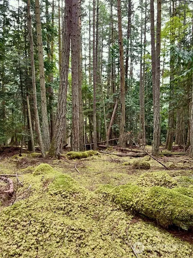 0 Peavine Way Obstruction Island WA 98279