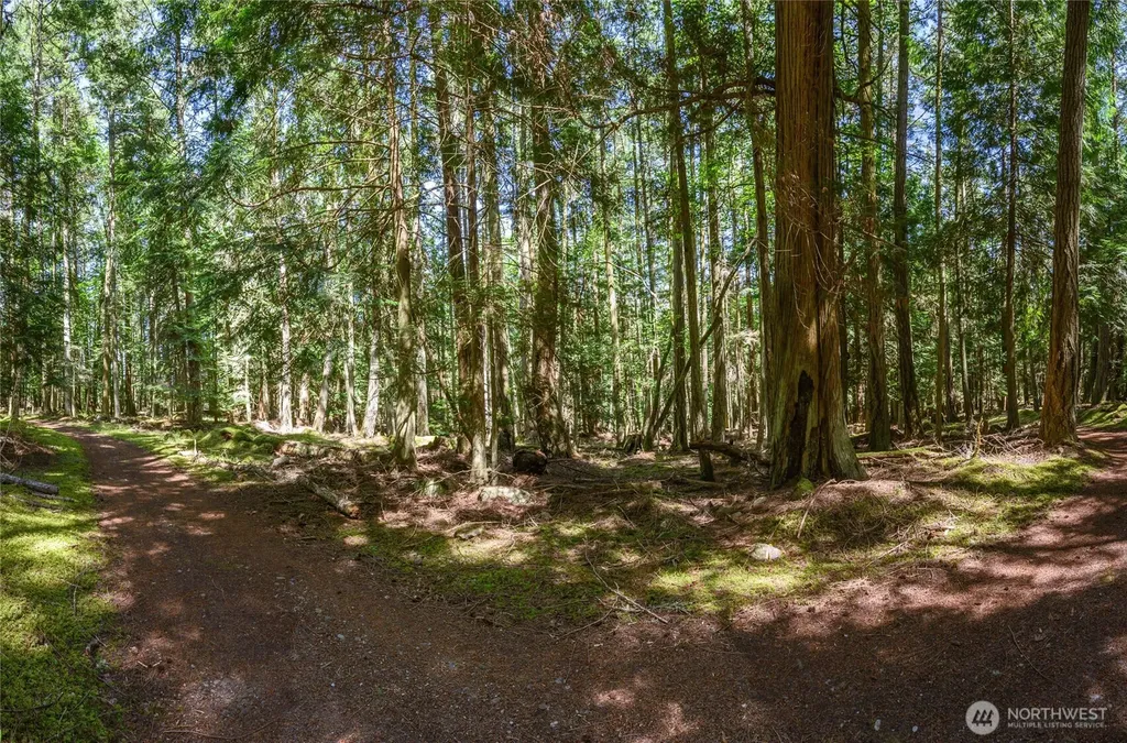 0 Peavine Way Obstruction Island WA 98279