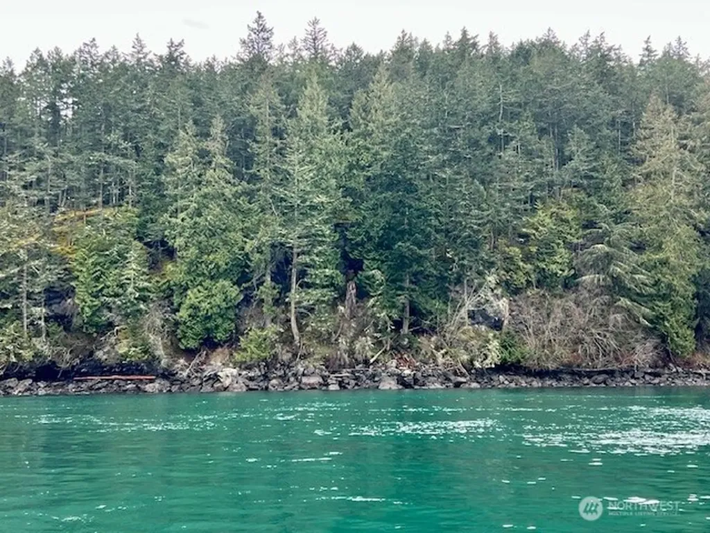 0 Peavine Way Obstruction Island WA 98279