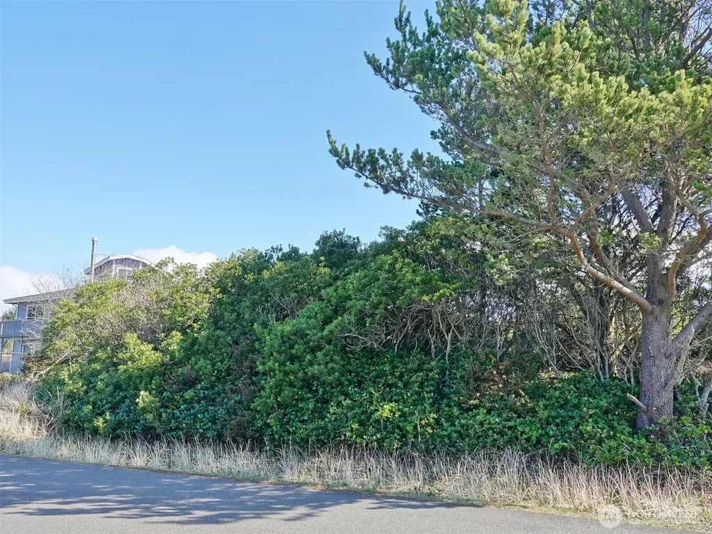 470 Sand Dune Avenue SW Ocean Shores WA 98569