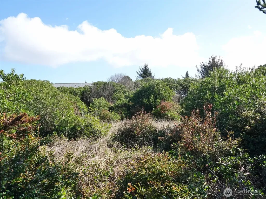 470 Sand Dune Avenue SW Ocean Shores WA 98569