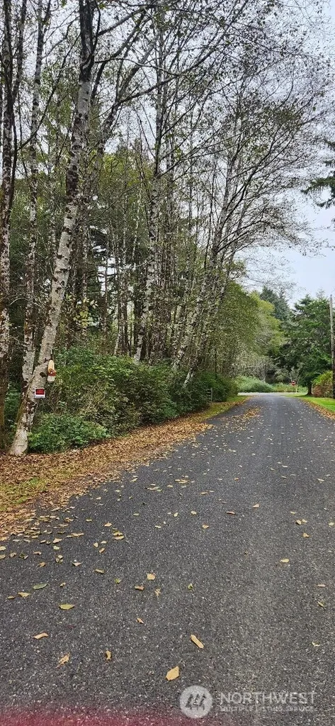 12 Chabot Road Copalis Beach WA 98535