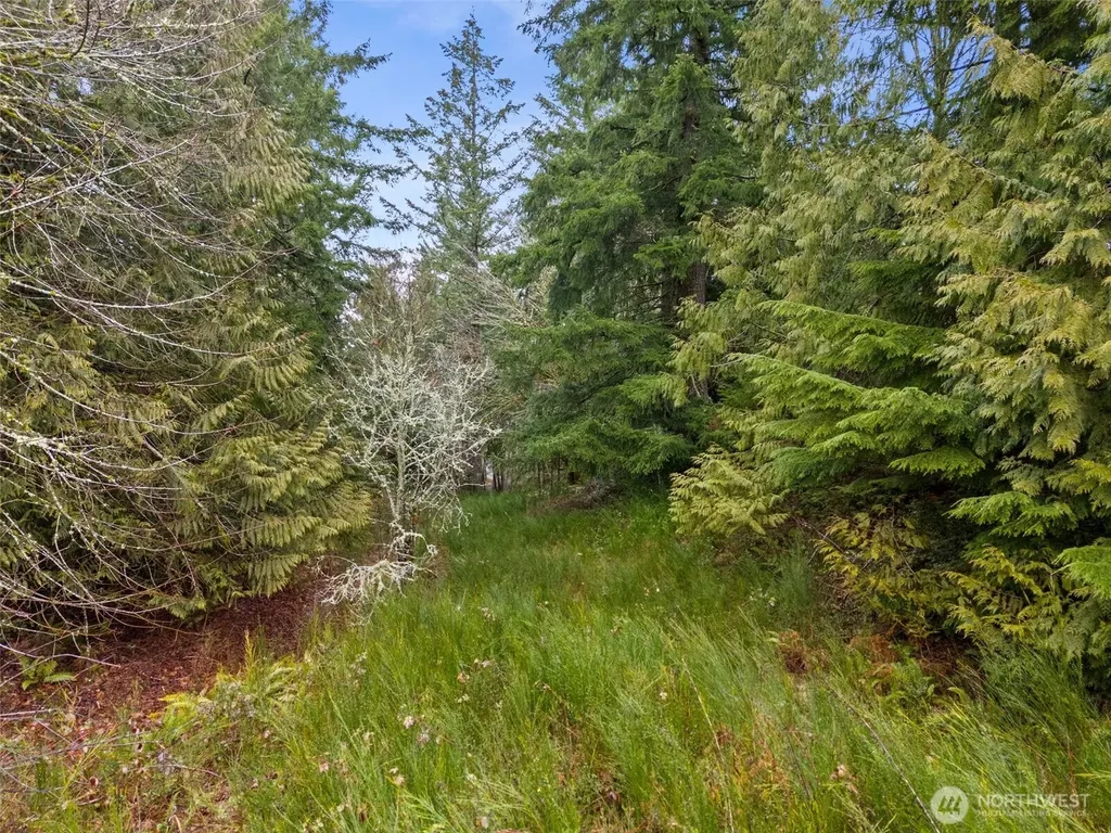 2641 28th Avenue NW Olympia WA 98502