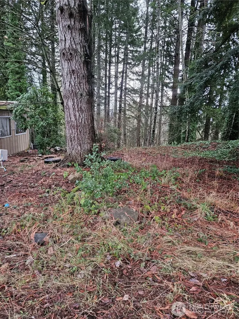 321 NE Barbara Boulevard Belfair WA 98528
