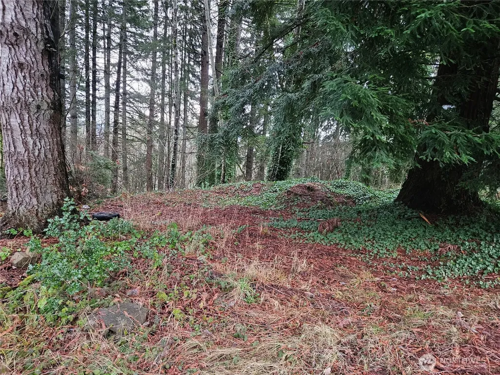 323 NE Barbara Boulevard Belfair WA 98528