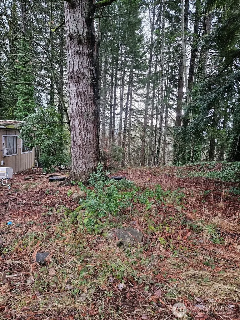 323 NE Barbara Boulevard Belfair WA 98528