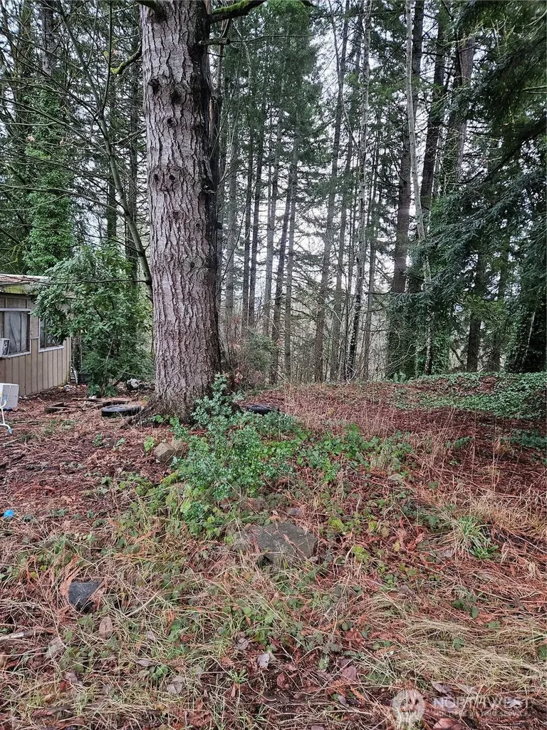 323 NE Barbara Boulevard Belfair WA 98528