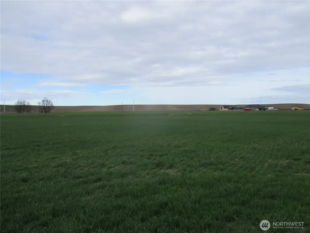0 Bunchgrass Lane Walla Walla WA 99362