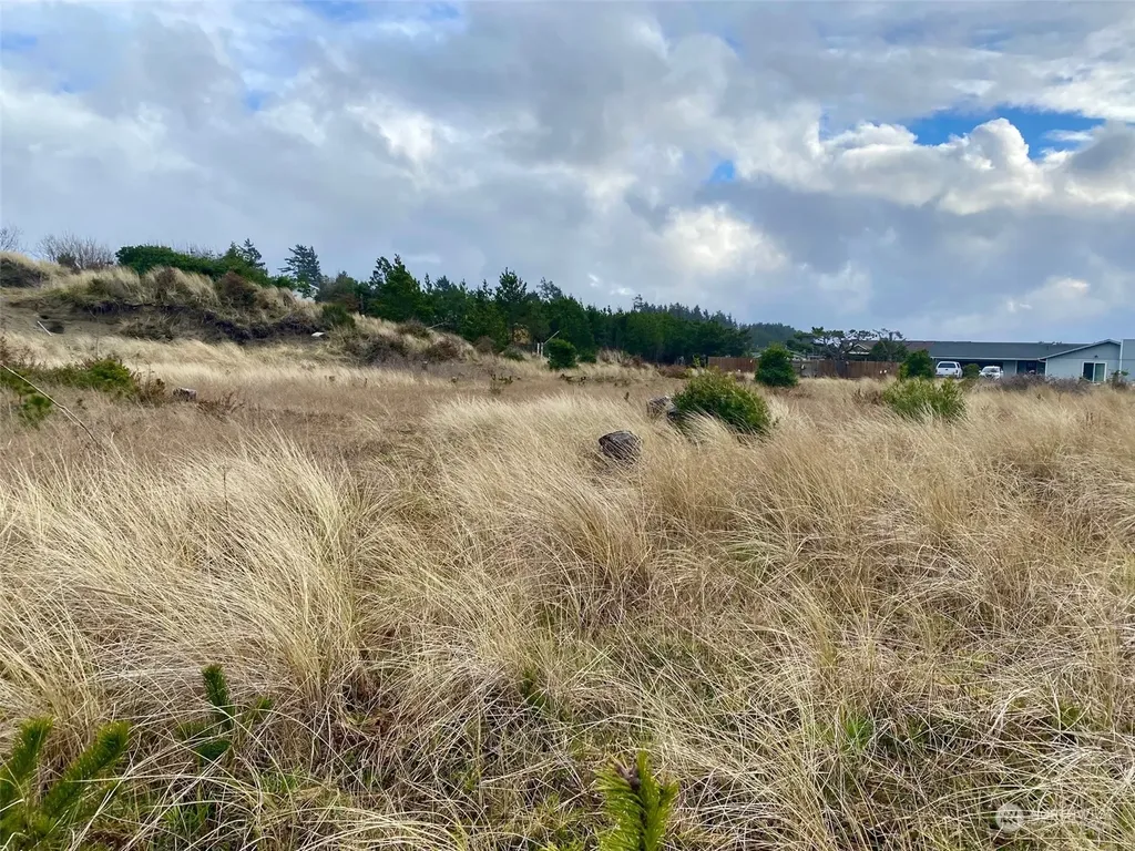 802 347th Place Ocean Park WA 98640