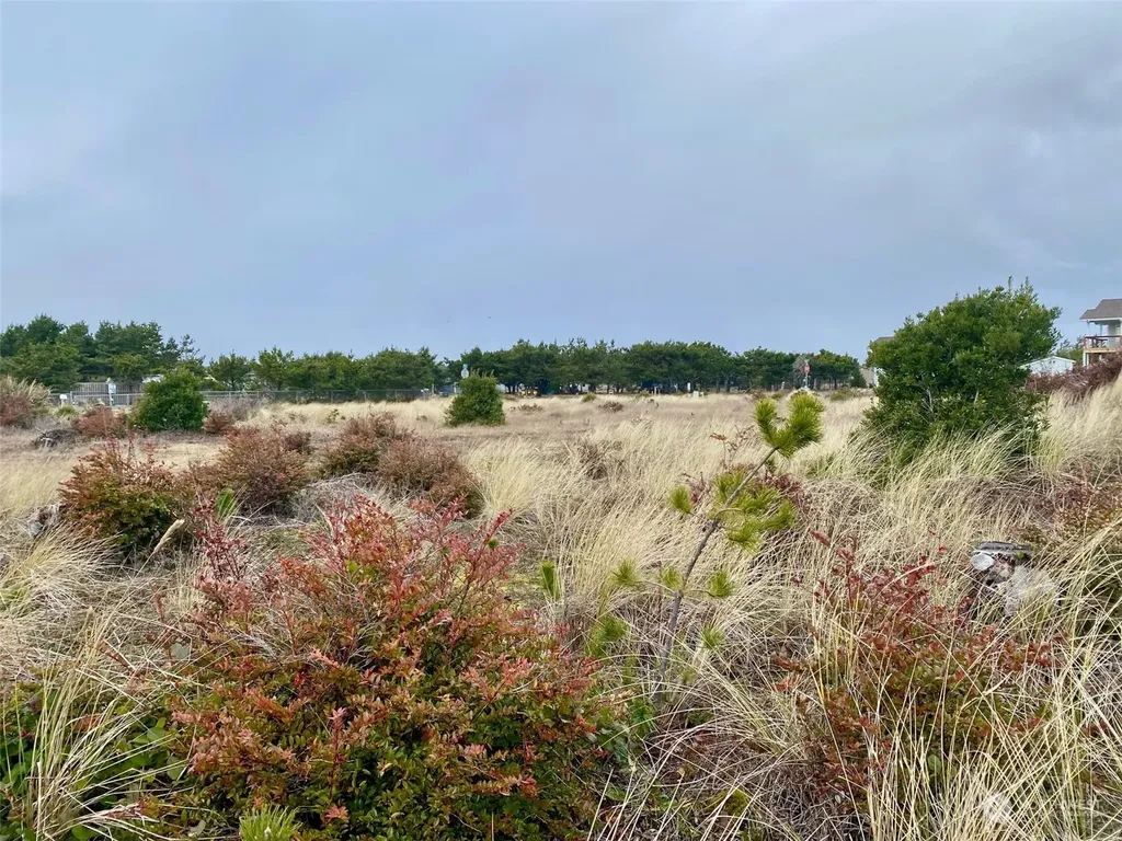 802 347th Place Ocean Park WA 98640