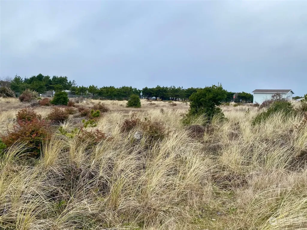 802 347th Place Ocean Park WA 98640
