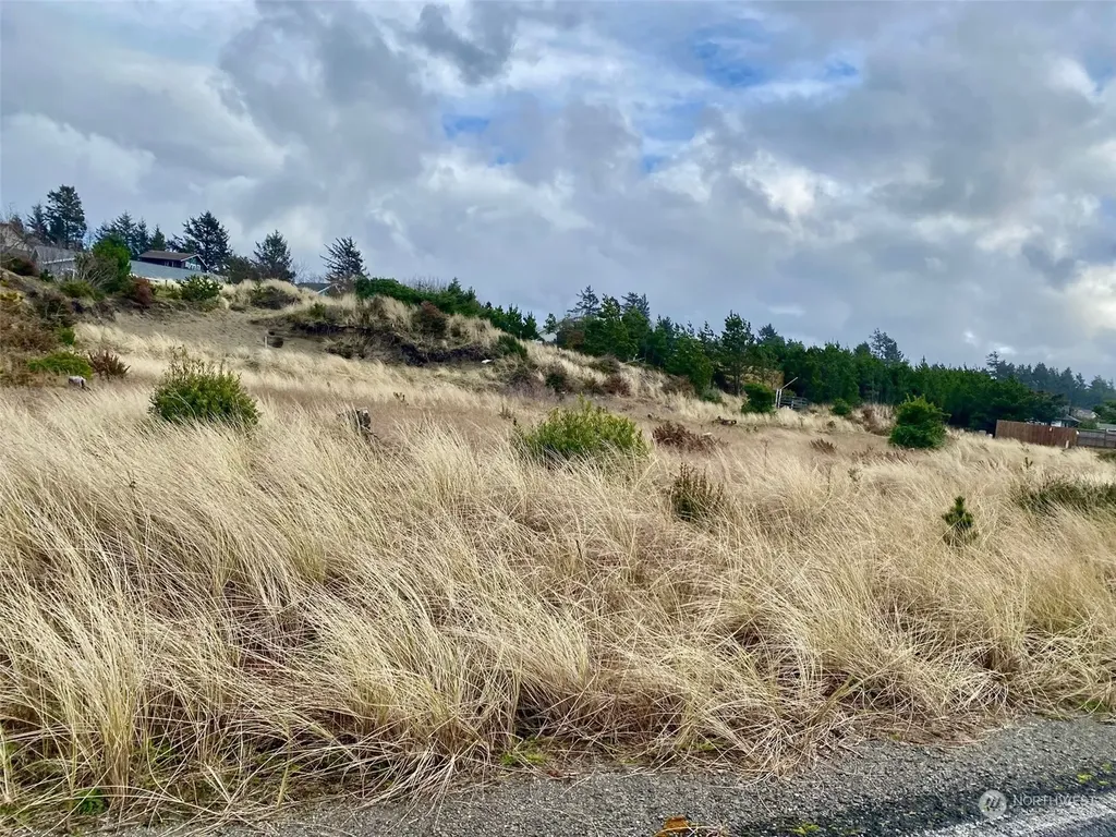 802 347th Place Ocean Park WA 98640