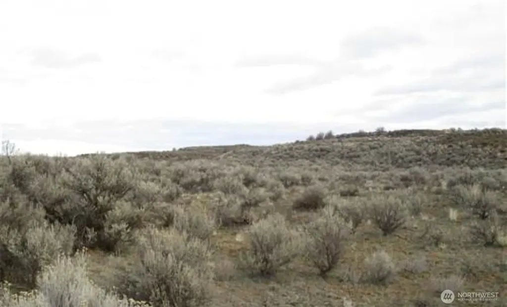 0 Lot 9 Pheasant Drive Ephrata WA 98823