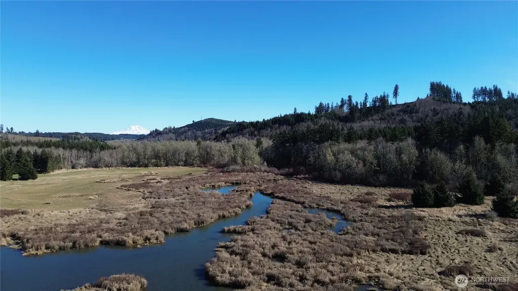 0 Lincoln Creek Road Rochester WA 98579
