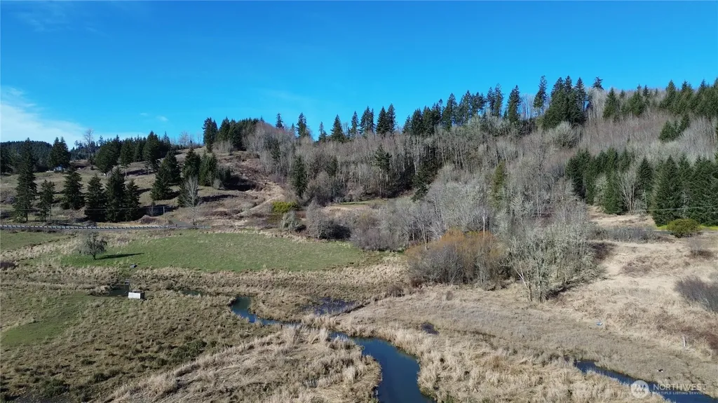 0 Lincoln Creek Road Rochester WA 98579