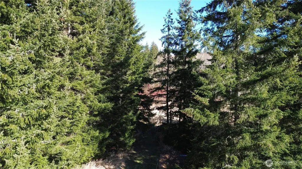 0 Lincoln Creek Road Rochester WA 98579