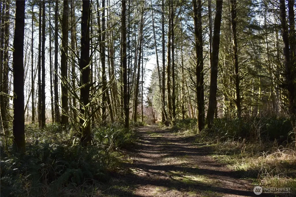 0 Lincoln Creek Road Rochester WA 98579