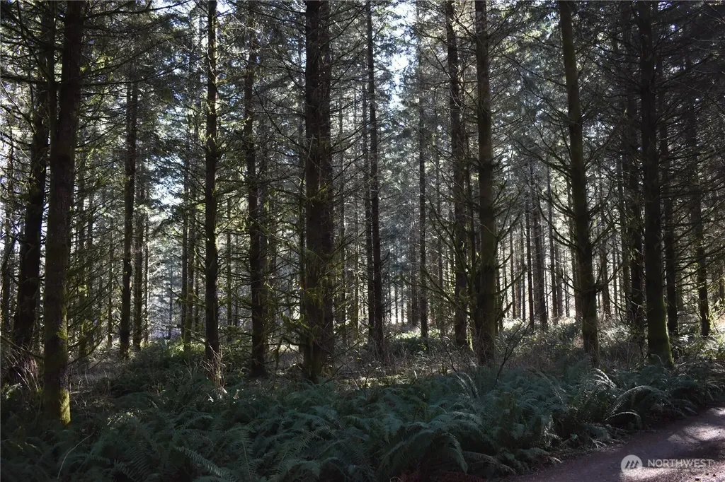 0 Lincoln Creek Road Rochester WA 98579