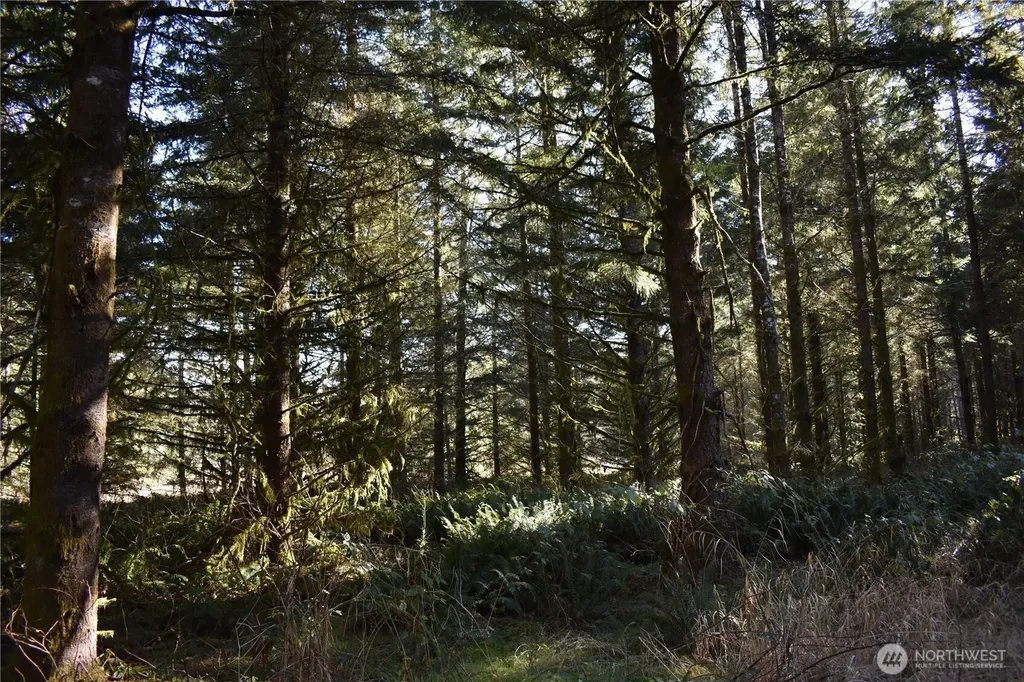 0 Lincoln Creek Road Rochester WA 98579