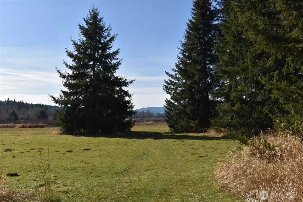 0 Lincoln Creek Road Rochester WA 98579