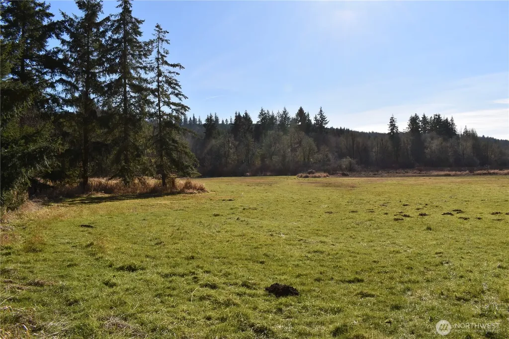 0 Lincoln Creek Road Rochester WA 98579