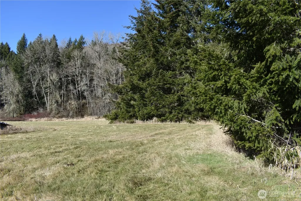 0 Lincoln Creek Road Rochester WA 98579