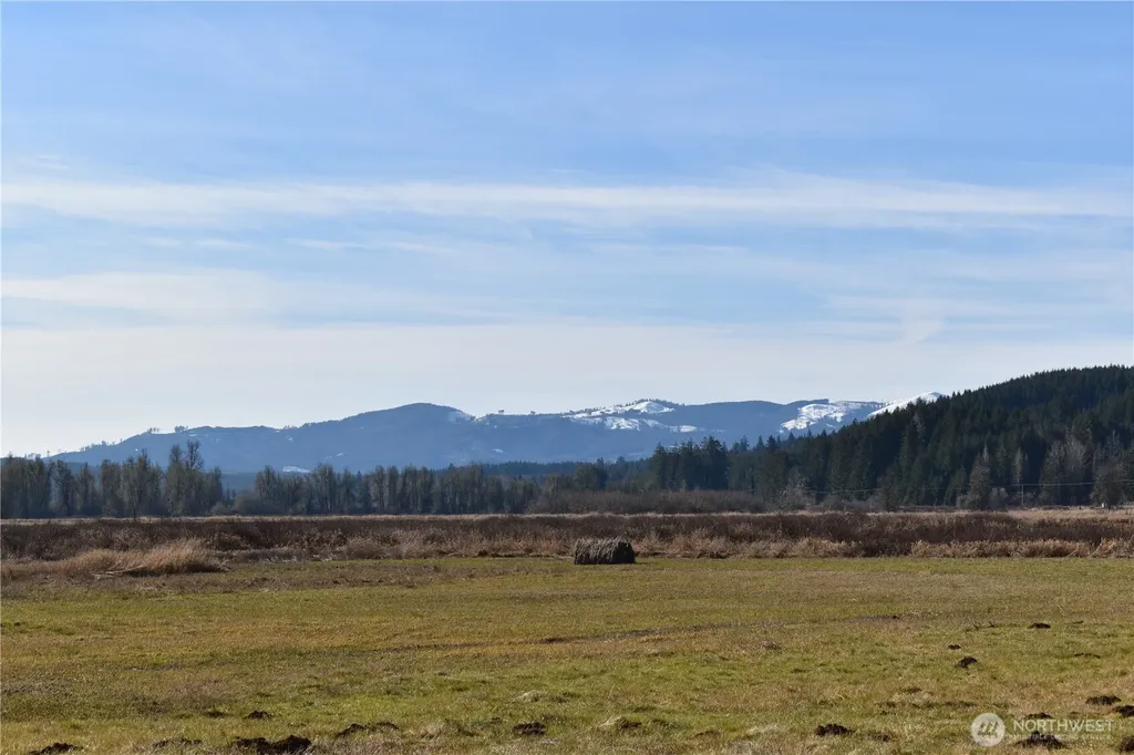 0 Lincoln Creek Road Rochester WA 98579